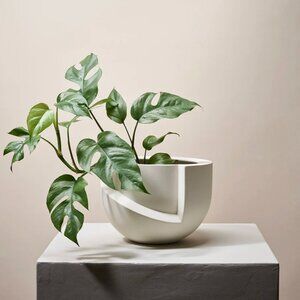 Vayu matte ceramic tabletop planter